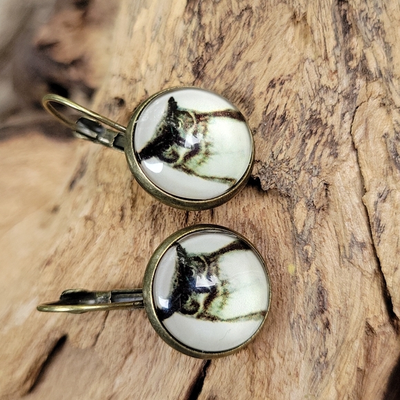 Emery Rose Jewelry - Great Horned Owl Bubble Drop Fangle Earrings, Antiqued Bronze finish